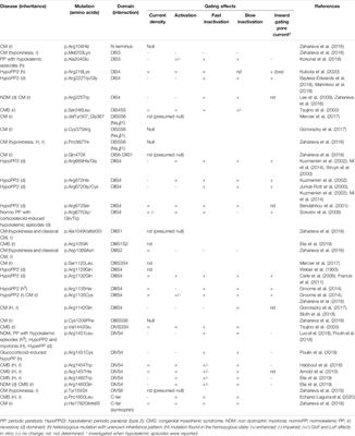 New Challenges Resulting From the Loss of Function of Nav1.4 in Neuromuscular Diseases